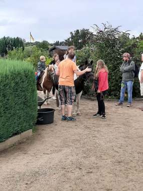09 (Bitte hier klicken um dieses Bild in seiner vollen Größe zu betrachten)